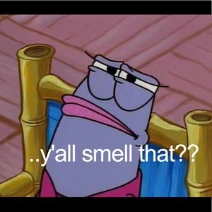 Meet your Posher, Carmela